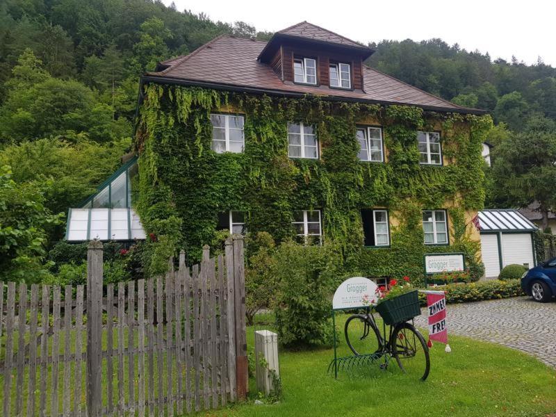 Gaestehaus Grogger Вайер-Маркт Экстерьер фото