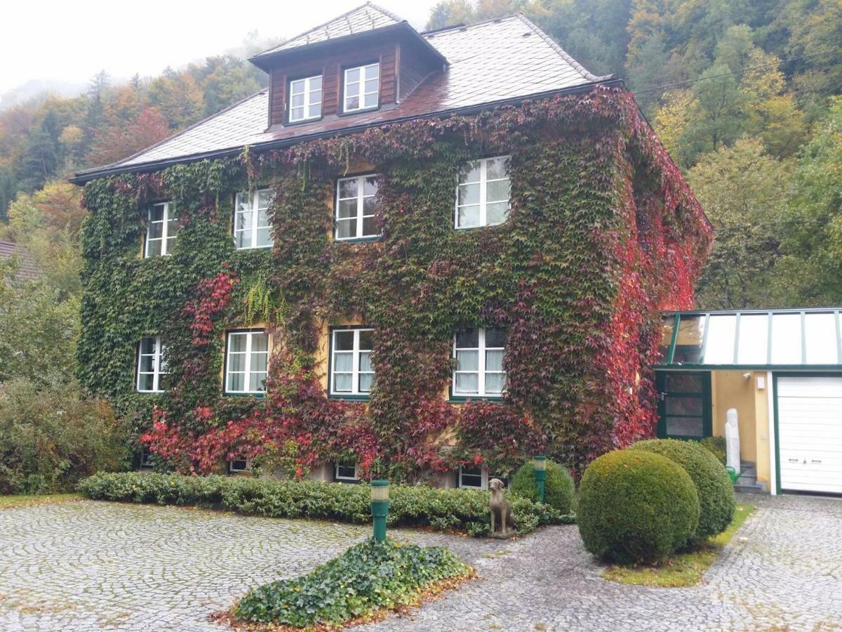 Gaestehaus Grogger Вайер-Маркт Экстерьер фото