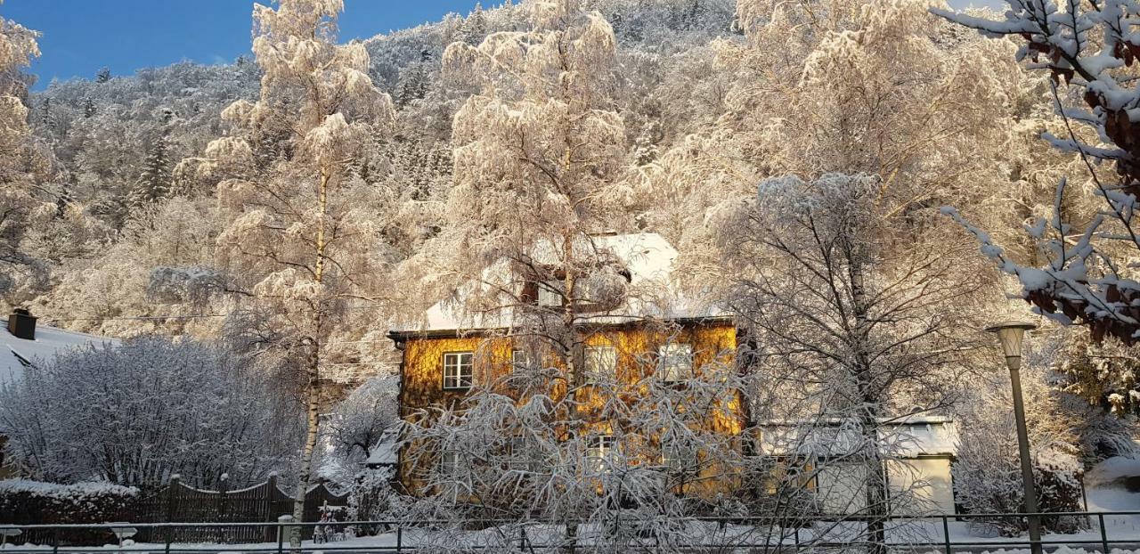 Gaestehaus Grogger Вайер-Маркт Экстерьер фото